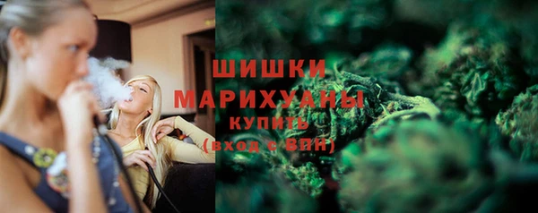 PSILOCYBIN Краснослободск