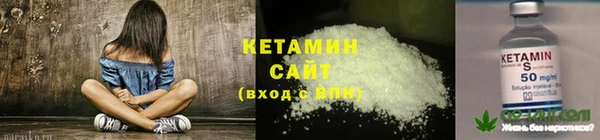 крисы Абдулино