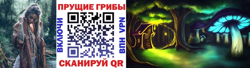 Псилоцибиновые грибы Psilocybe  ОМГ ОМГ онион  Черемхово 